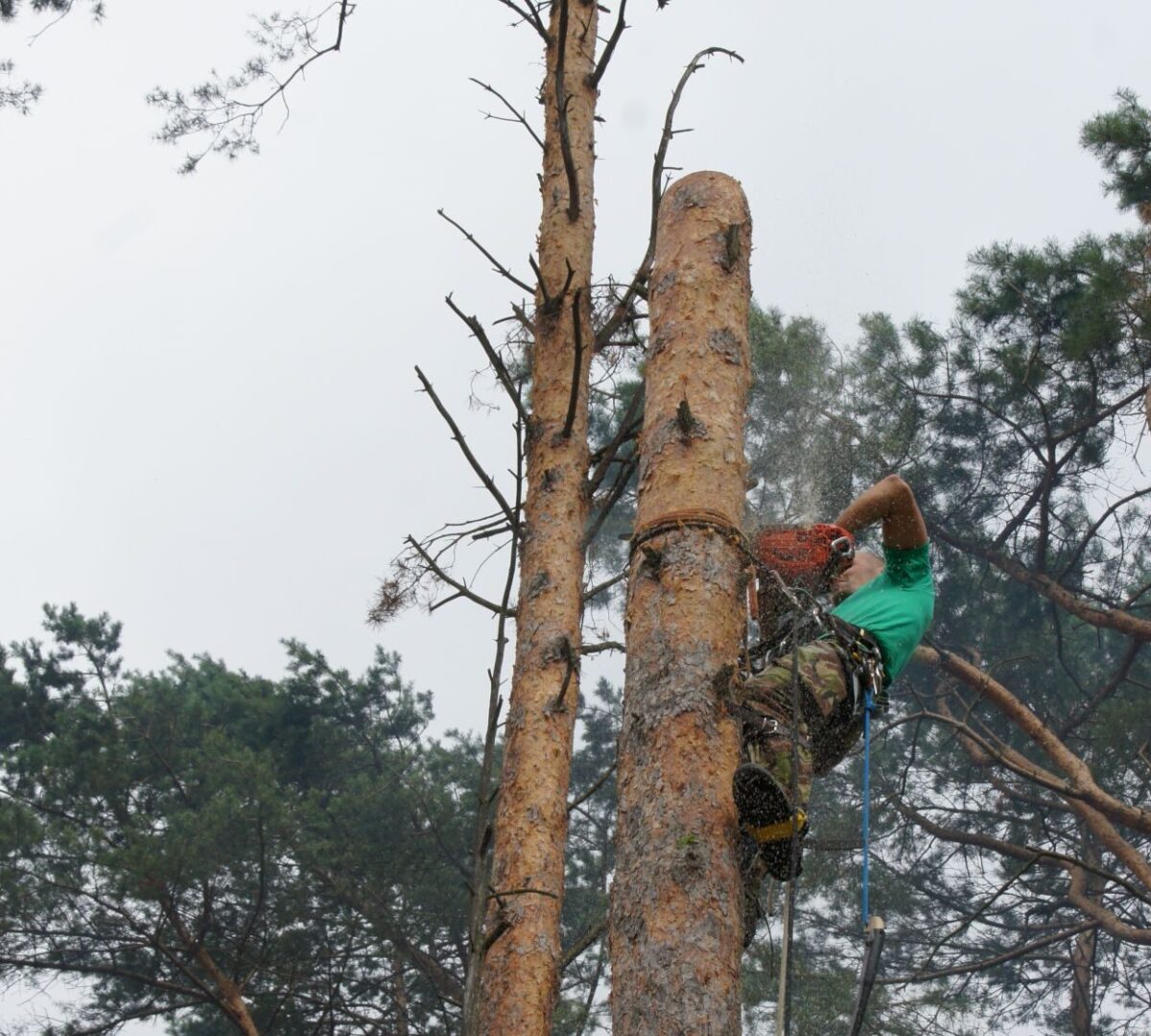 Prace wysokościowe
